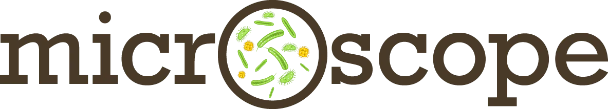 fe3f91692b5a8a1b3cc3df0ddc4a018670ada590