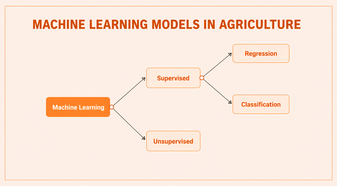 Machine Learning Algorithms Used in Agriculture
